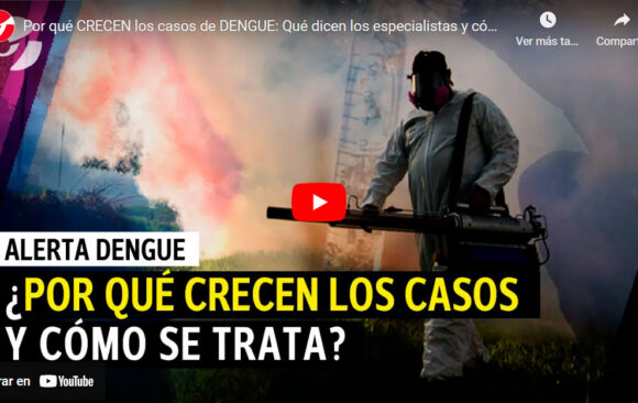 Dengue: Dr. Pablo Bonvehí, miembro de la Fudación habló con Clarín.com