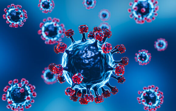 Gripe H3N2 y vacunación antigripal Gripe H3N2 y vacunación antigripal